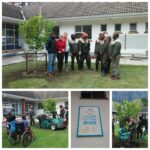a-lemon-tree-for-the-children-of-maitland-cottage-hospital_2