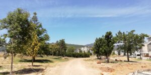 nooitgedacht village estate trees 2019
