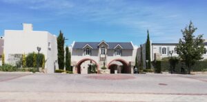 nooitgedacht village estate trees 2019 nooitgedacht village estate trees 2019