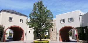 nooitgedacht village estate trees 2019 nooitgedacht village estate trees 2019