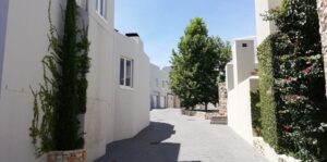 nooitgedacht village estate trees 2019 nooitgedacht village estate trees 2019
