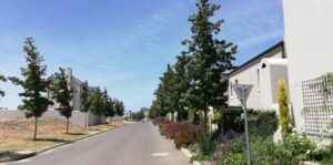 nooitgedacht village estate trees 2019 nooitgedacht village estate trees 2019