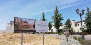 nooitgedacht village estate trees 2019 nooitgedacht village estate trees 2019