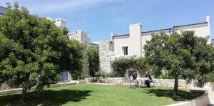 nooitgedacht village estate trees 2019 nooitgedacht village estate trees 2019