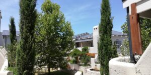 nooitgedacht village estate trees 2019 nooitgedacht village estate trees 2019
