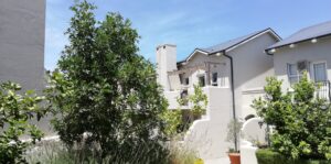 nooitgedacht village estate trees 2019 nooitgedacht village estate trees 2019
