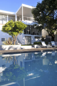 tree swimming pool