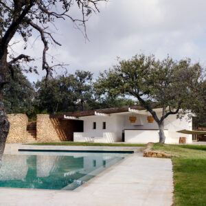 tree swimming pool