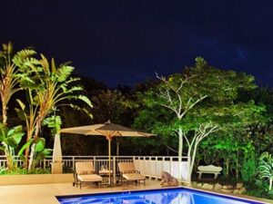 tree swimming pool