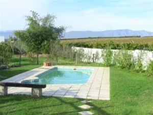 tree swimming pool