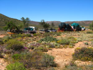 karoo planting