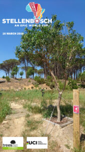 MTB world cup 2018 nuxia floribunda; forest elder
