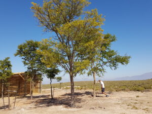 02 Soil moisture monitoring and moisture sampling @ shelter