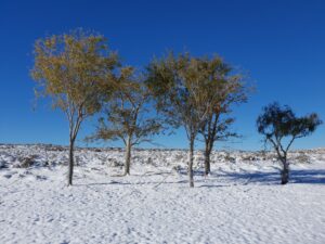 eldorado snow 2018