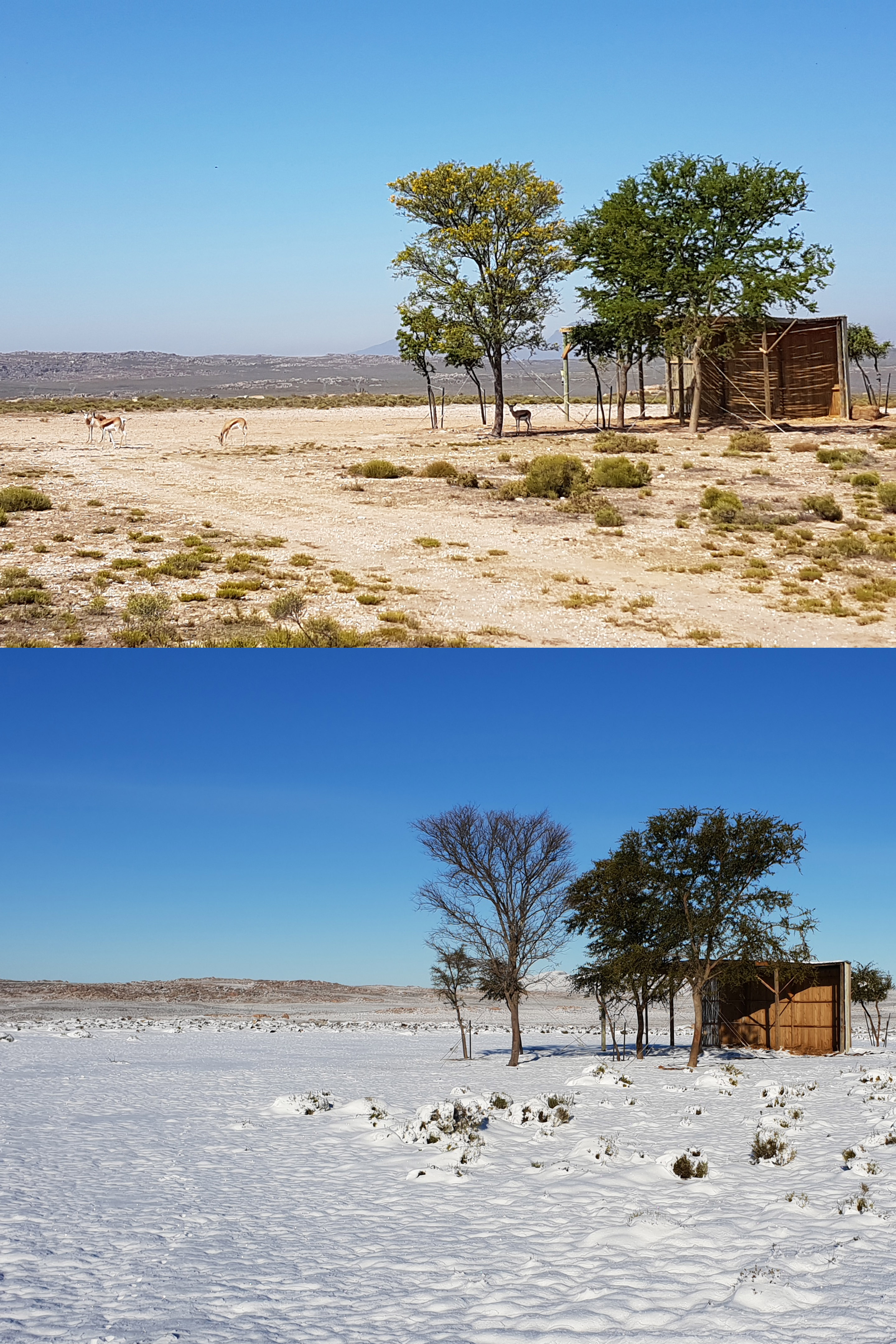 Shelter before and after