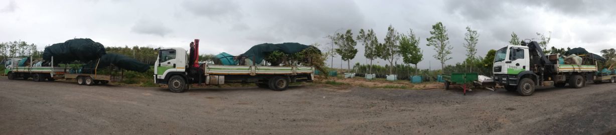 eldorado panorama
