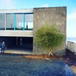 yzerfontein olive project
