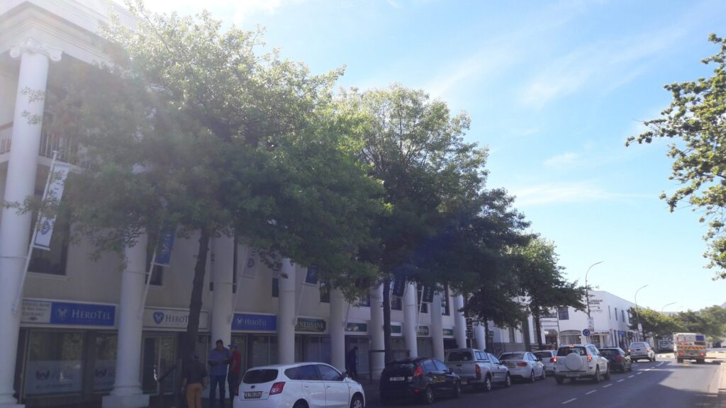post office trees 2018