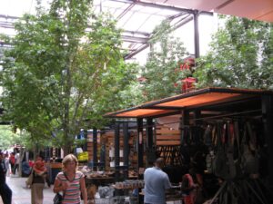 Liquidambar cavendish project (5)