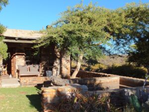 Bird Garden – Paperbark Thorn (Vachellia sieberiana) Bird Garden - Paperbark Thorn (Vachellia sieberiana)