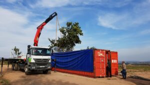 mature tree export