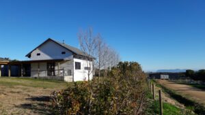 vrede july 2017 (1)