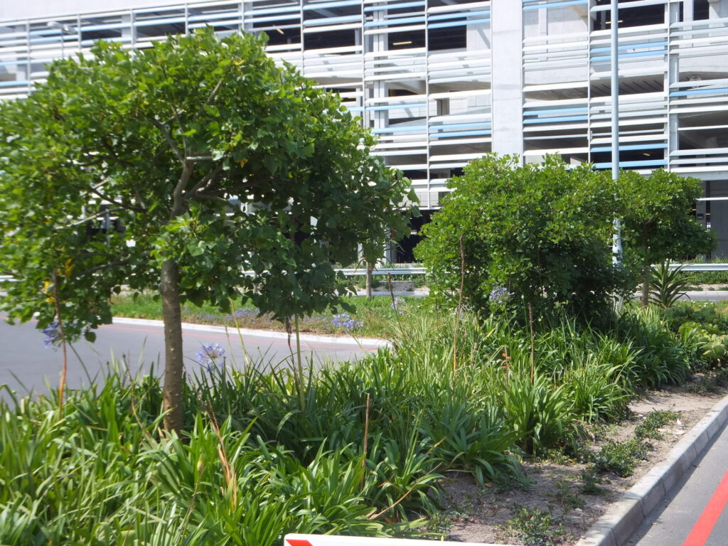 acsa airport (5)