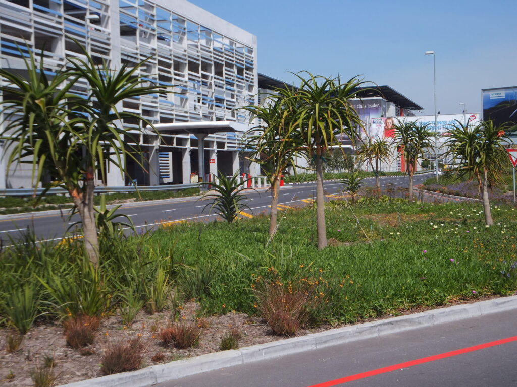 acsa airport (8)