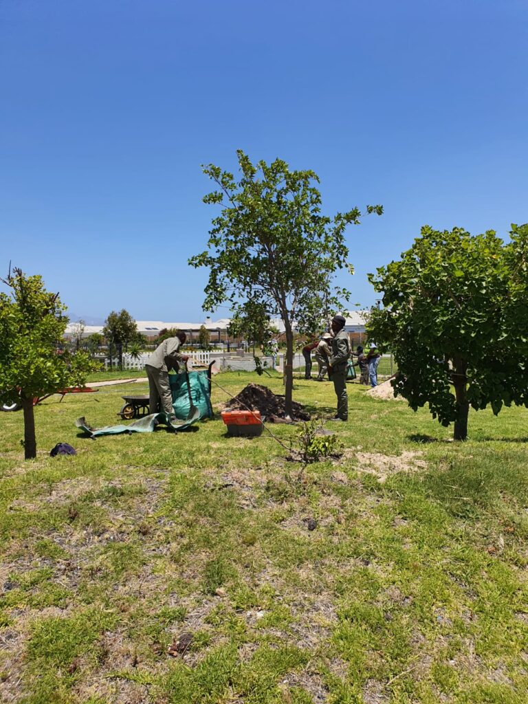 WhatsApp Image 2020-12-02 at 15.13.53 (1)